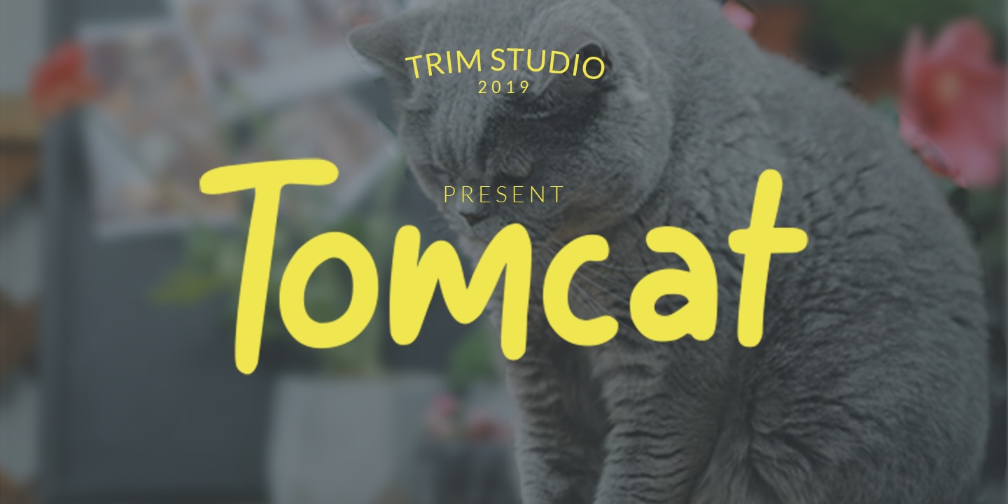 Przykładowa czcionka Tomcat #1